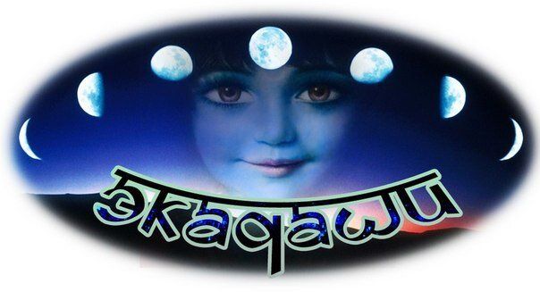 51bbe7fd7dbc1ekadashi2