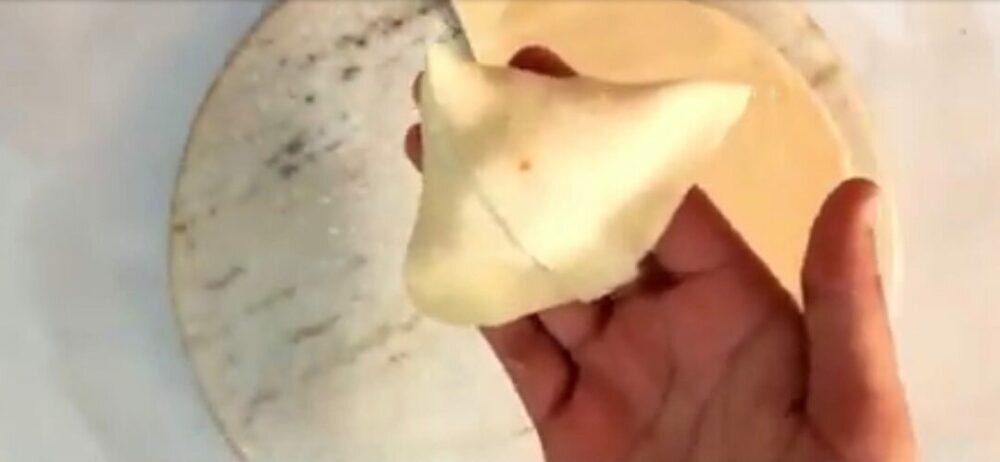 Самоса-пицца